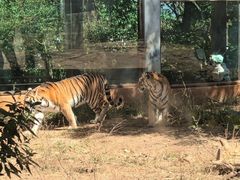 -昆明动物园