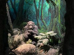 -国家自然博物馆