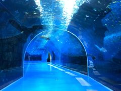 -波塞冬旅游度假区