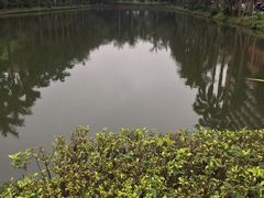 -中山大学学者灵芝(园南路店)