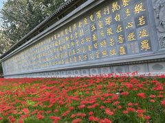 -西安大兴善寺