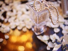 2013411736144478-天鹅湖大酒店