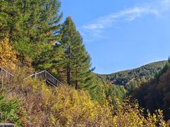 -苏木山森林公园