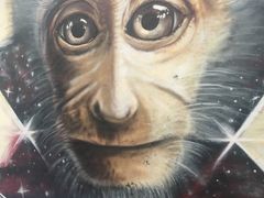 -槟城街头艺术街区