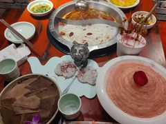 -袁老四重庆老火锅(桐梓坡店)