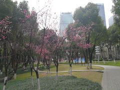 -重庆市江北嘴中央商务区中央公园