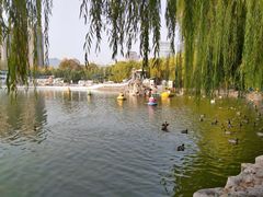 -团结湖公园