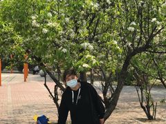 -长白岛森林公园