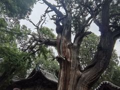 -晋祠博物馆