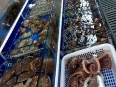 android_upload_pic-海鲜城大家餐厅