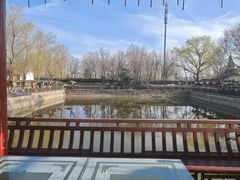 -尚庄度假村·庭台树下·户外烧烤·团建CS·轰趴营地(上庄水库店)