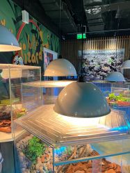点击看大图 -七巧国萌宠乐园(龙湖天街店)