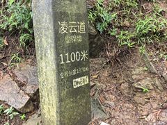 -梧桐山风景名胜区