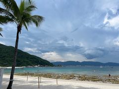-柏悦酒店-沁园牛排海鲜西餐厅