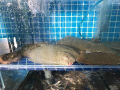 -蟹谢蒸鲜自助餐厅