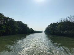 -大湾区中央湿地公园