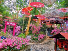 -海口观澜湖火山温泉谷