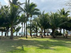 -三亚海棠湾万丽度假酒店