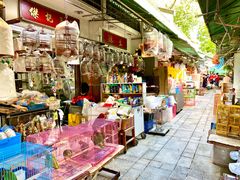 -园圃街雀鸟花园