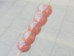 纯冰糖制作糖葫芦-和禄德冰糖葫芦