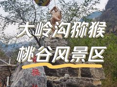 -大岭沟猕猴桃谷风景区