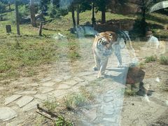 -沈阳森林动物园