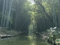 -同里国家湿地公园