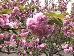 -苏州河梦清园环保主题公园