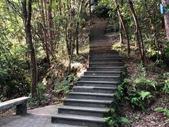 -凤凰山国家森林公园