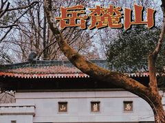 -岳麓山风景名胜区