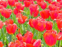 -玄武湖景区-情侣园游乐场