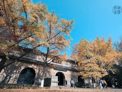 -灵谷景区