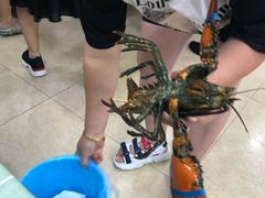 两吃龙虾-四海蒸鲜蒸汽海鲜自助(北戴河店)