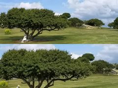 -红花山公园