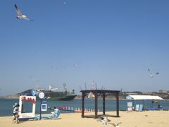 -海驴岛(荣成市)