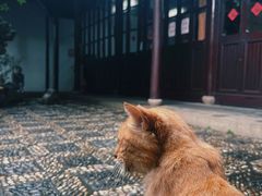 -西园戒幢律寺