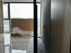 -Sony Store 索尼(来福士店)