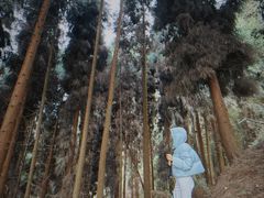 -太阳湾风景区