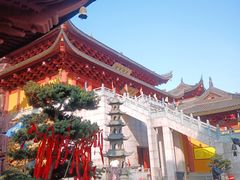 -上海东林寺(金山区)