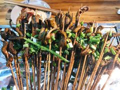 -晓靖轩烧烤(沙河风情店)