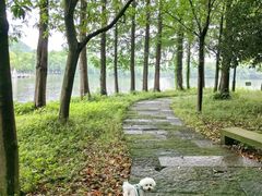 -柯岩风景区