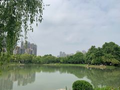 -堤角公园