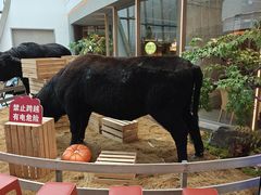 -左庭右院鲜牛肉火锅(京西大悦城店)