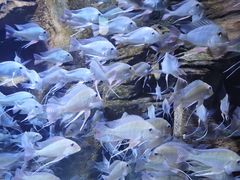 -成都浩海立方海洋公园