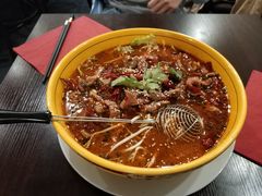 -熊猫川菜馆 panda chine