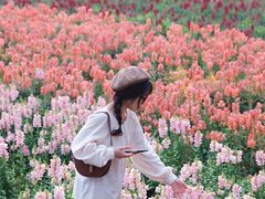 -丹樱生态园