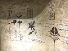 -星巴克臻选(湖滨道店)