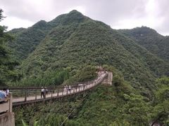 -娄山关景区