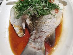 -九记路边鸡(穗盐路店)