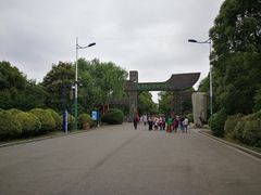 -溱湖国家湿地公园